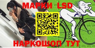 гидра Рязань