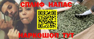 гидра Рязань