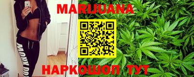 гидра Рязань