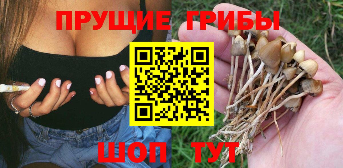 Галлюциногенные грибы мухоморы Сосновый Бор