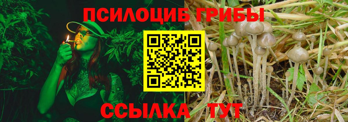 Псилоцибиновые грибы Magic Shrooms  Псилоцибиновые грибы Cubensis  Сосновый Бор 