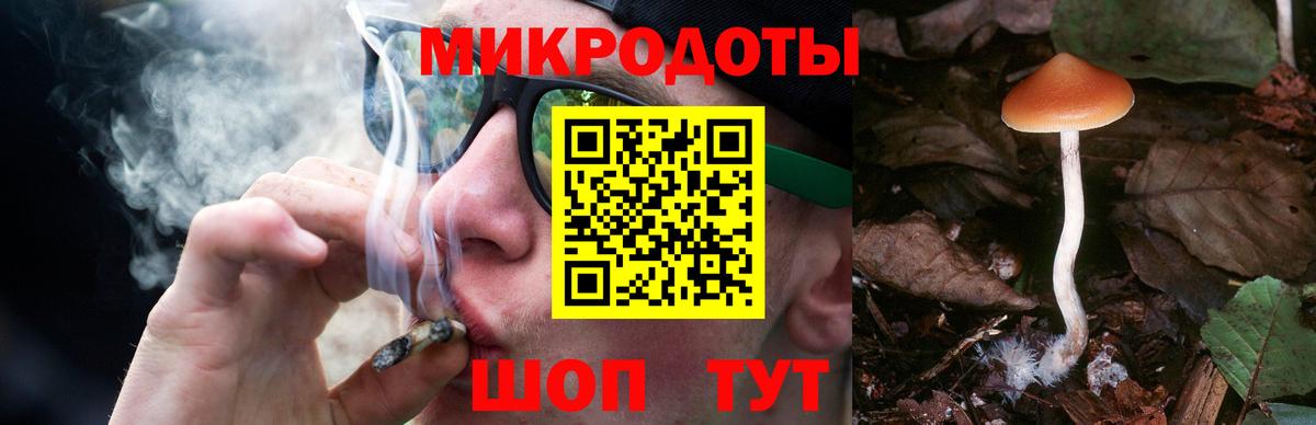 Сосновый Бор  Псилоцибиновые грибы прущие грибы  Вход с VPN 