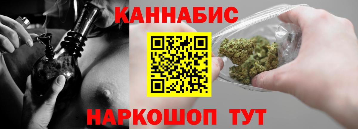 Каннабис индика Сосновый Бор